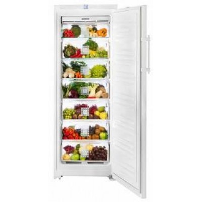Ремонт холодильника Liebherr B 2756