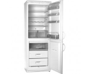 Snaige RF310-1703A