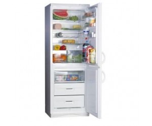 Snaige RF310-1803A